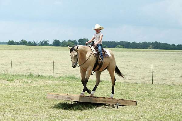 ranch-versatility-quarter-horse