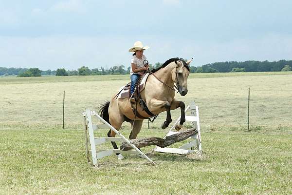team-roping-quarter-horse