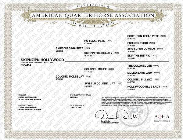 loadable-quarter-horse