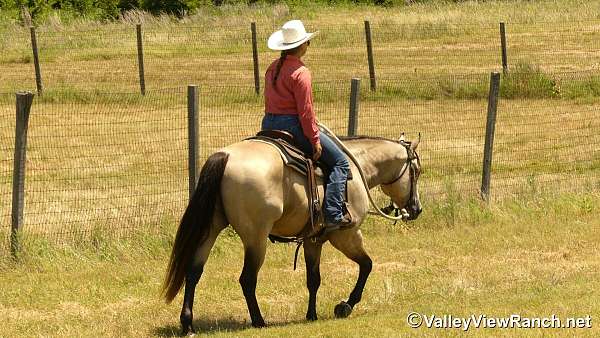 ranch-work-quarter-horse