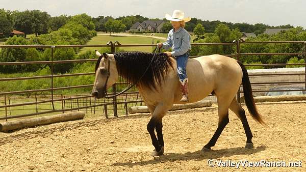 ridden-western-quarter-horse