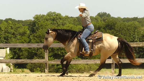 trail-riding-quarter-horse