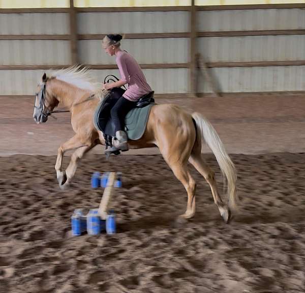pony