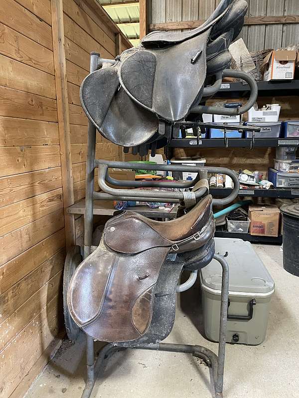 english-horse