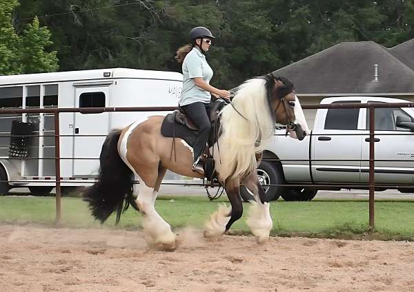 tobiano-horse