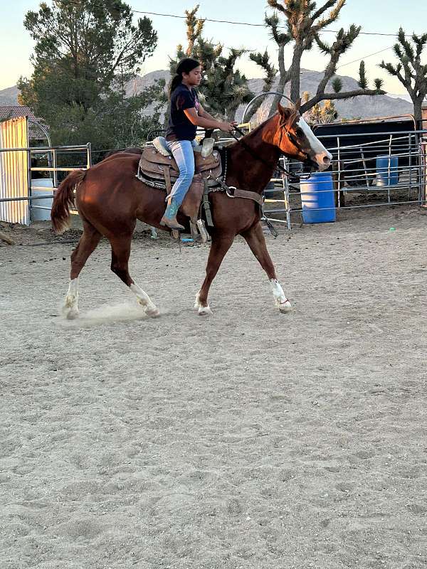 lucerne-valley-horse