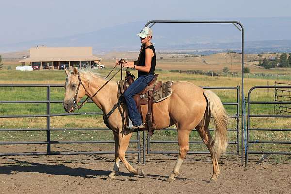athletic-kid-safe-horse