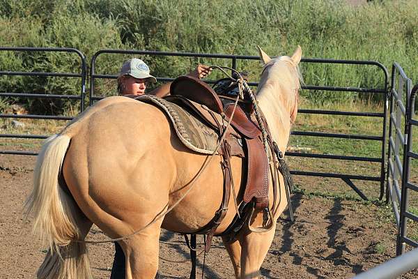 build-quarter-horse