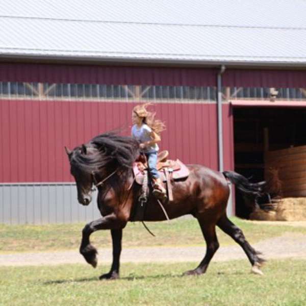 cutting-mustang-horse