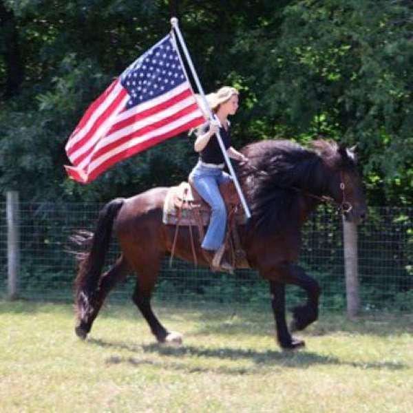 husband-safe-mustang-horse