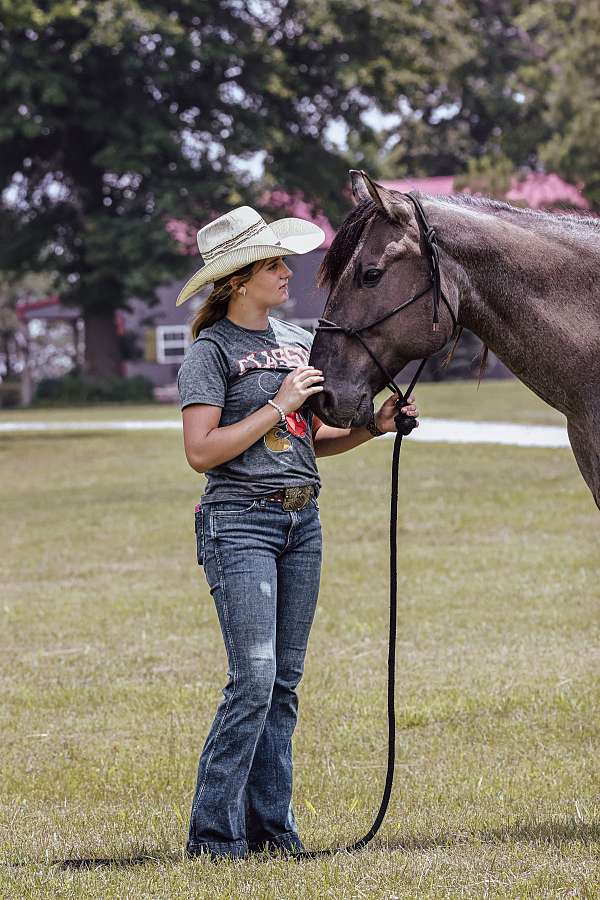 all-quarter-horse