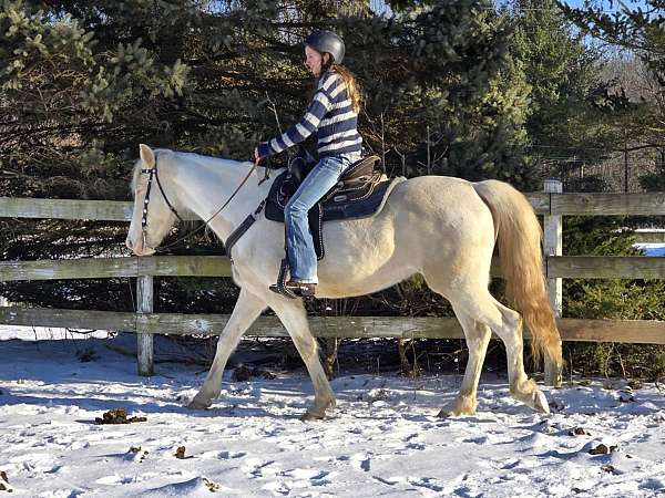 blue-eyes-blaze-horse
