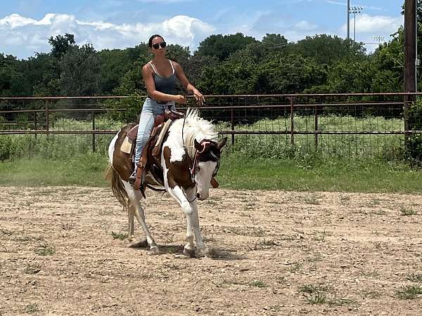 radical-rodder-paint-horse