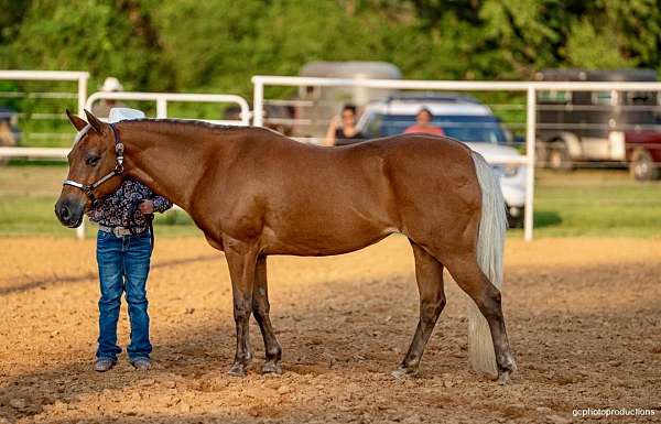 athletic-quarter-pony