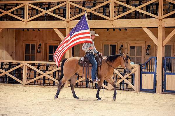 flashy-quarter-horse