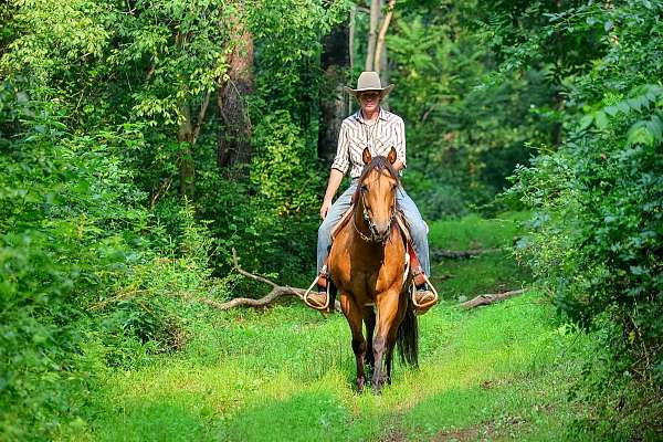 husband-safe-quarter-horse