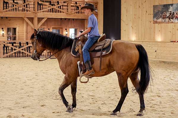 ranch-versatility-quarter-horse