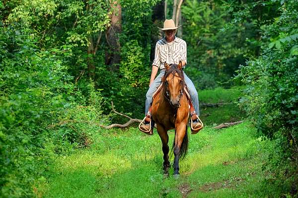 youth-quarter-horse