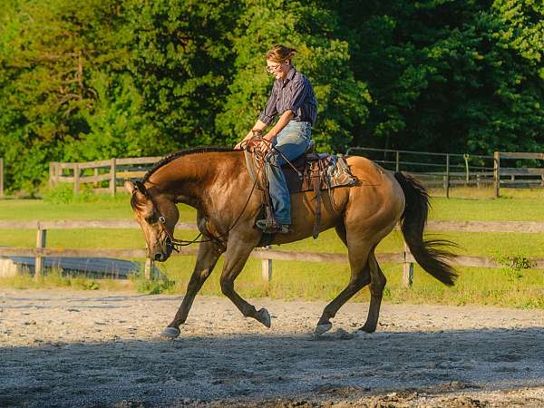 flashy-quarter-horse
