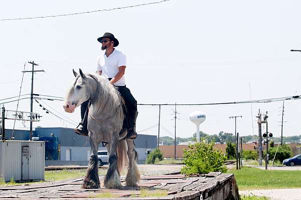 cowboy-mounted-shooting-gypsy-vanner-horse