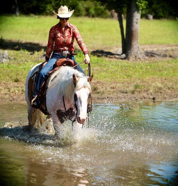 athletic-paint-horse