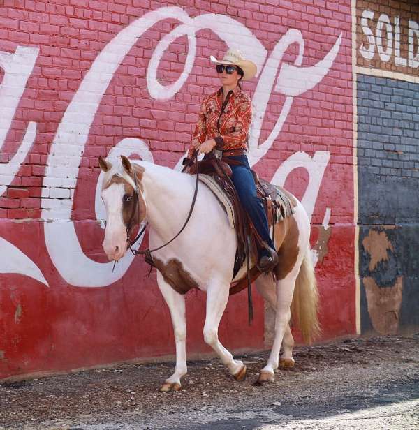 flashy-paint-horse