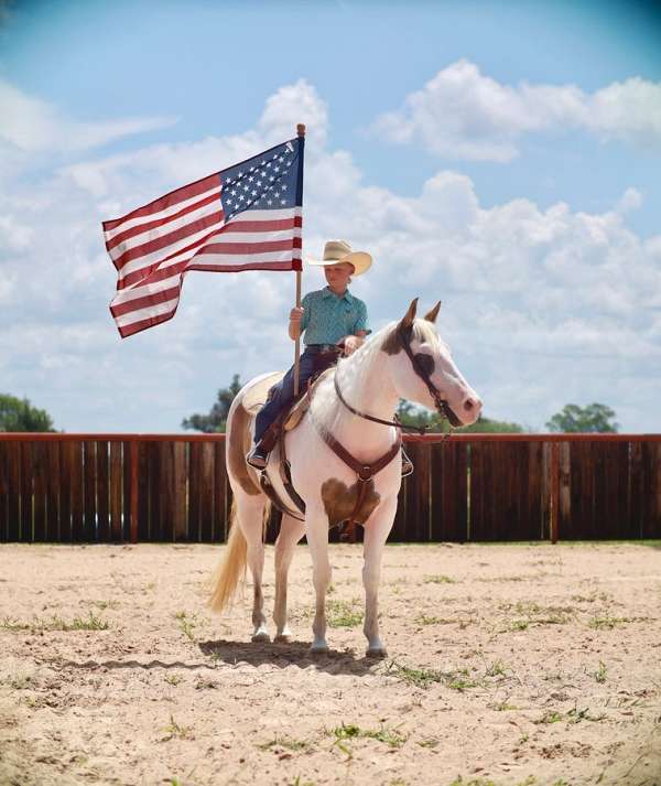 kid-safe-paint-horse