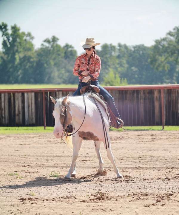 ranch-paint-horse