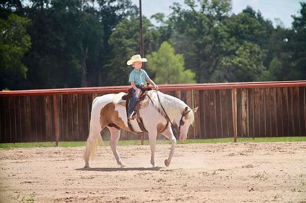 ranch-versatility-paint-horse