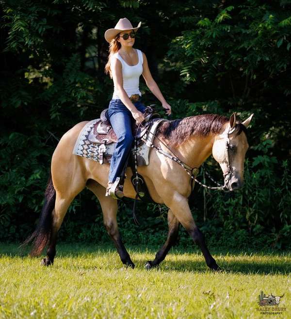 athletic-quarter-horse