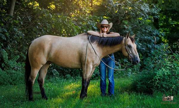 beginner-quarter-horse