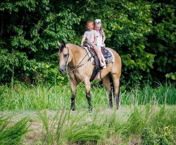 flashy-quarter-horse