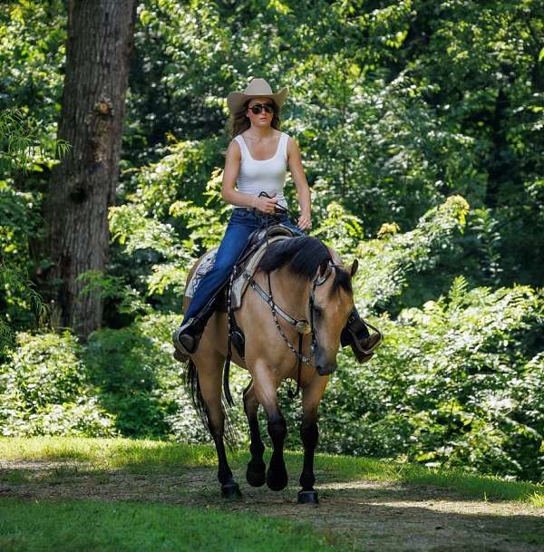 ranch-quarter-horse