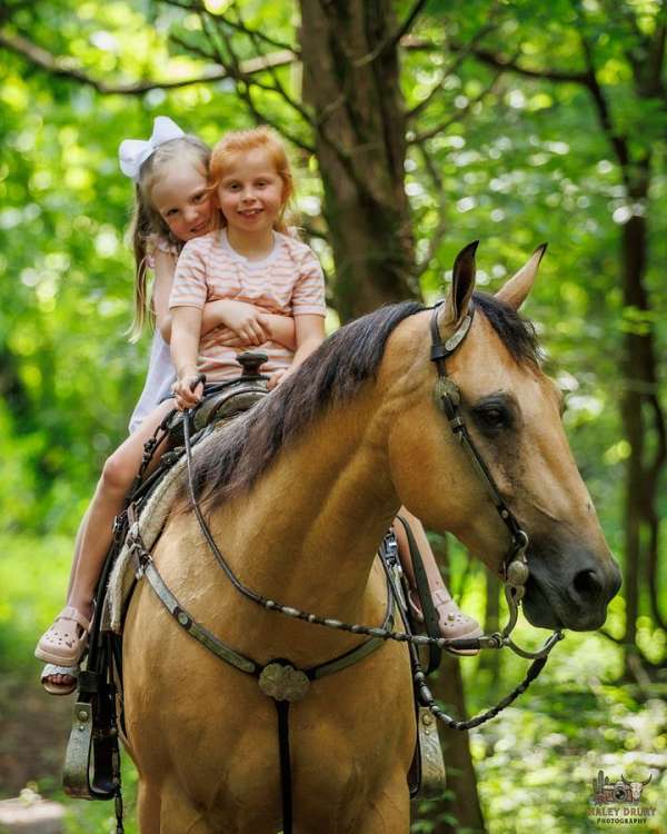 ranch-work-quarter-horse