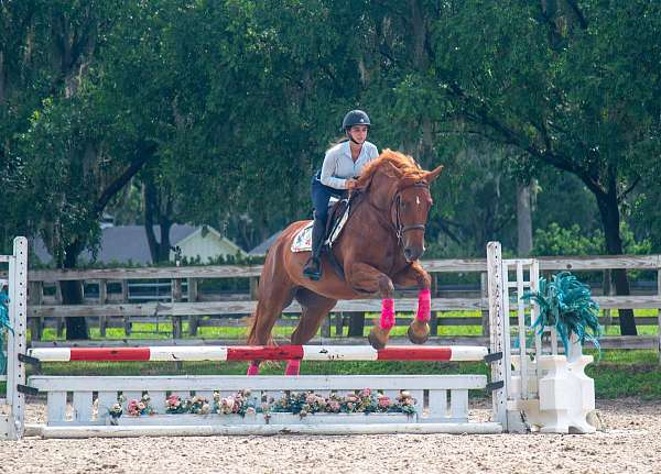 flashy-draft-horse