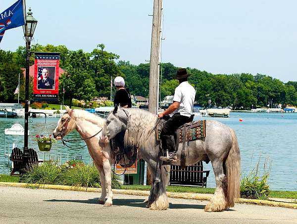 kid-safe-welsh-pony