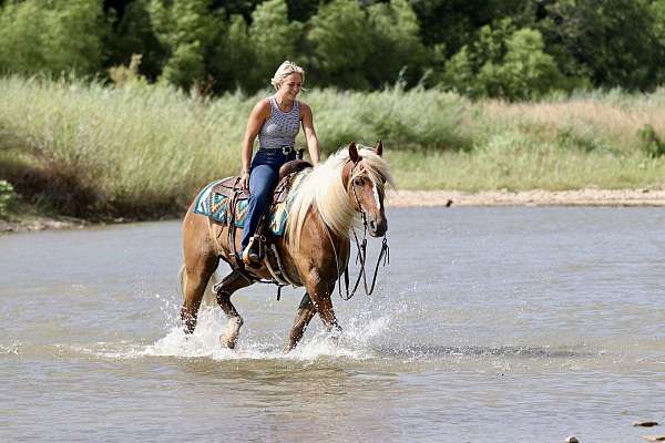kid-safe-draft-horse