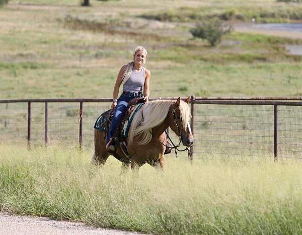 ranch-draft-horse