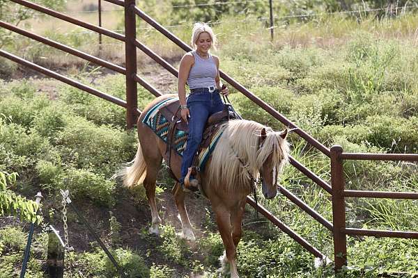 ranch-work-draft-horse