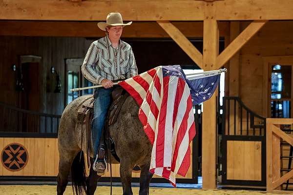 trail-riding-quarter-horse