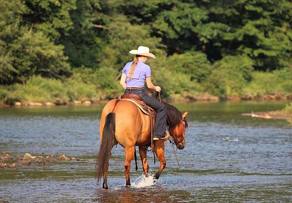 flashy-quarter-horse