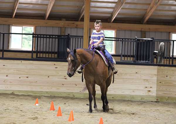 kid-safe-quarter-horse