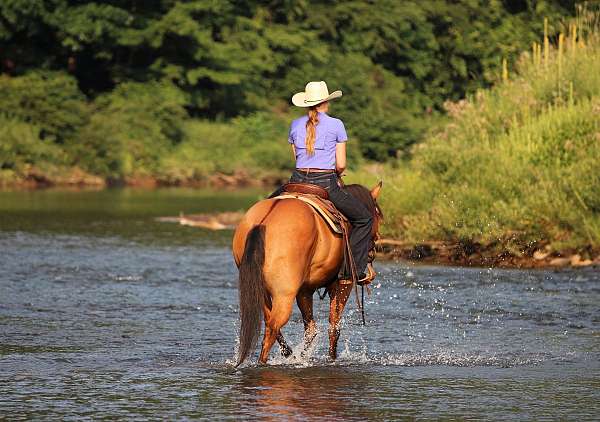 ranch-versatility-quarter-horse