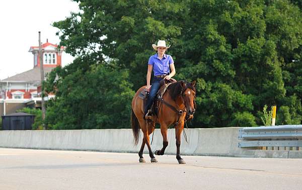 ridden-english-quarter-horse