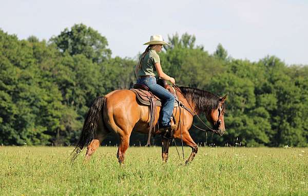 roping-quarter-horse