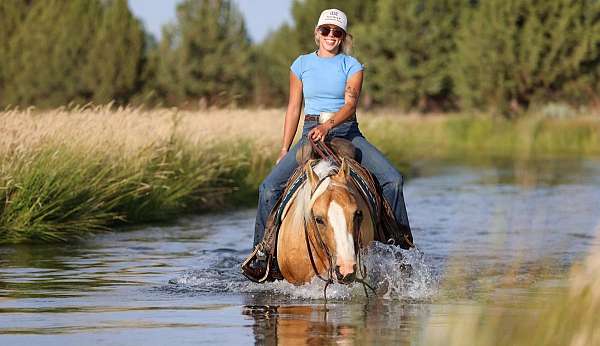 performance-quarter-horse