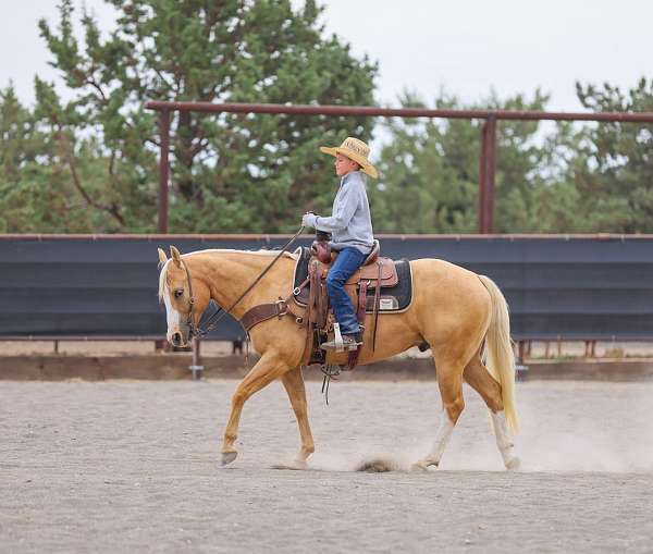 ranch-quarter-horse
