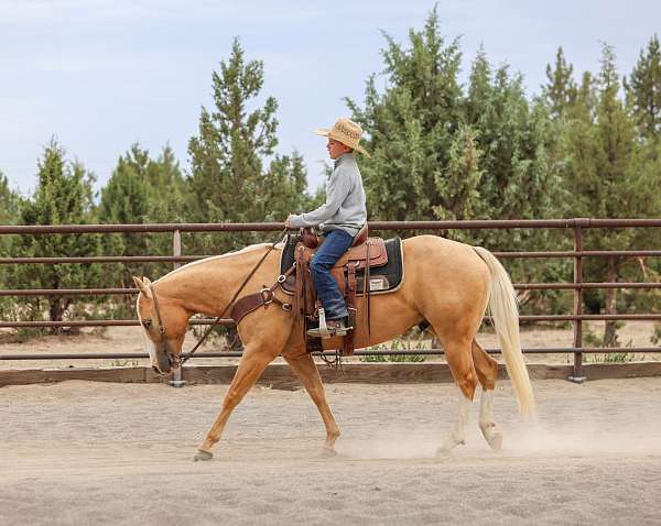 ranch-versatility-quarter-horse