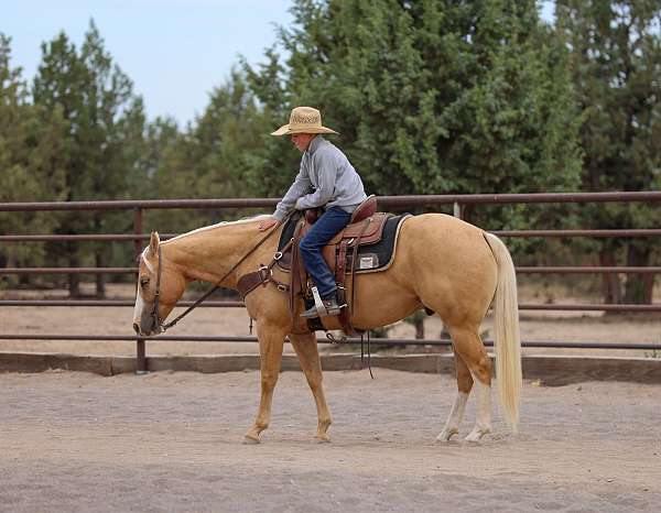 roping-quarter-horse