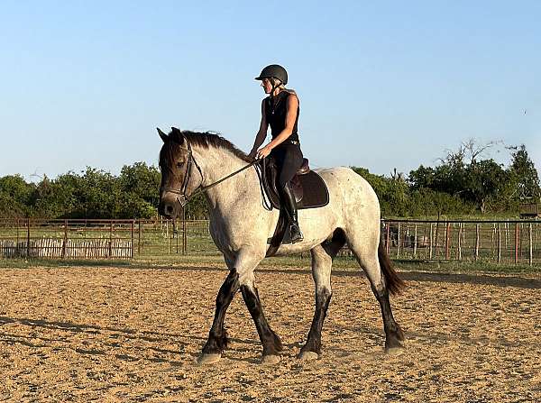 cross-draft-horse